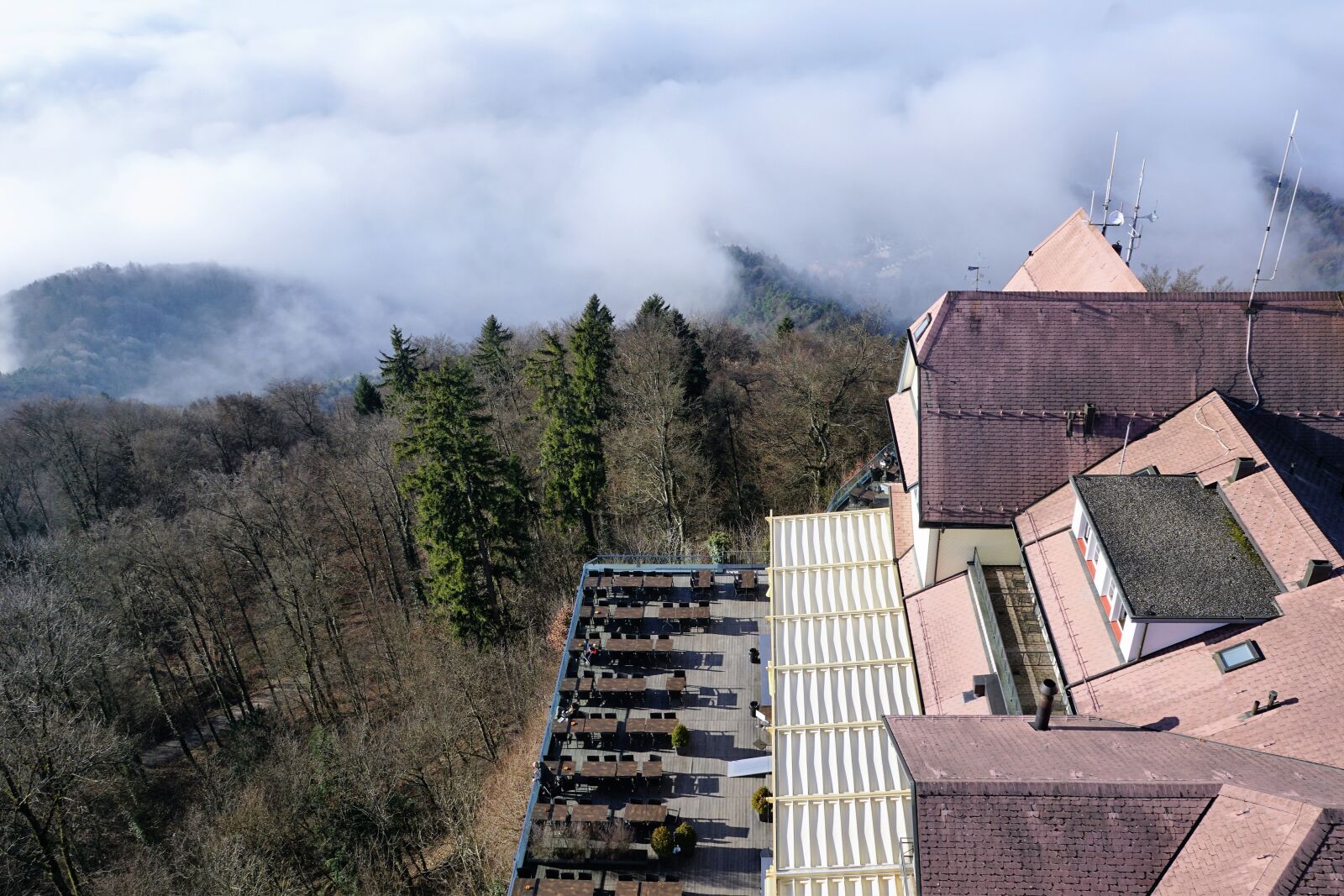 Sony ILCA-77M2 + Sony DT 16-50mm F2.8 SSM sample photo. Forest, sun, uetliberg photography