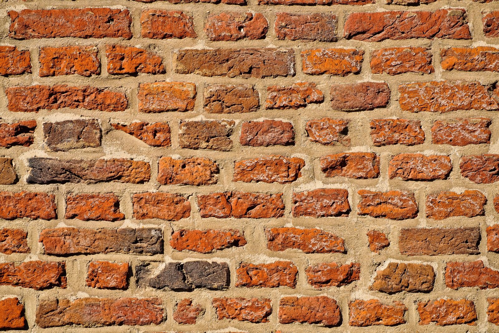 Olympus OM-D E-M10 sample photo. Wall, brick, background photography