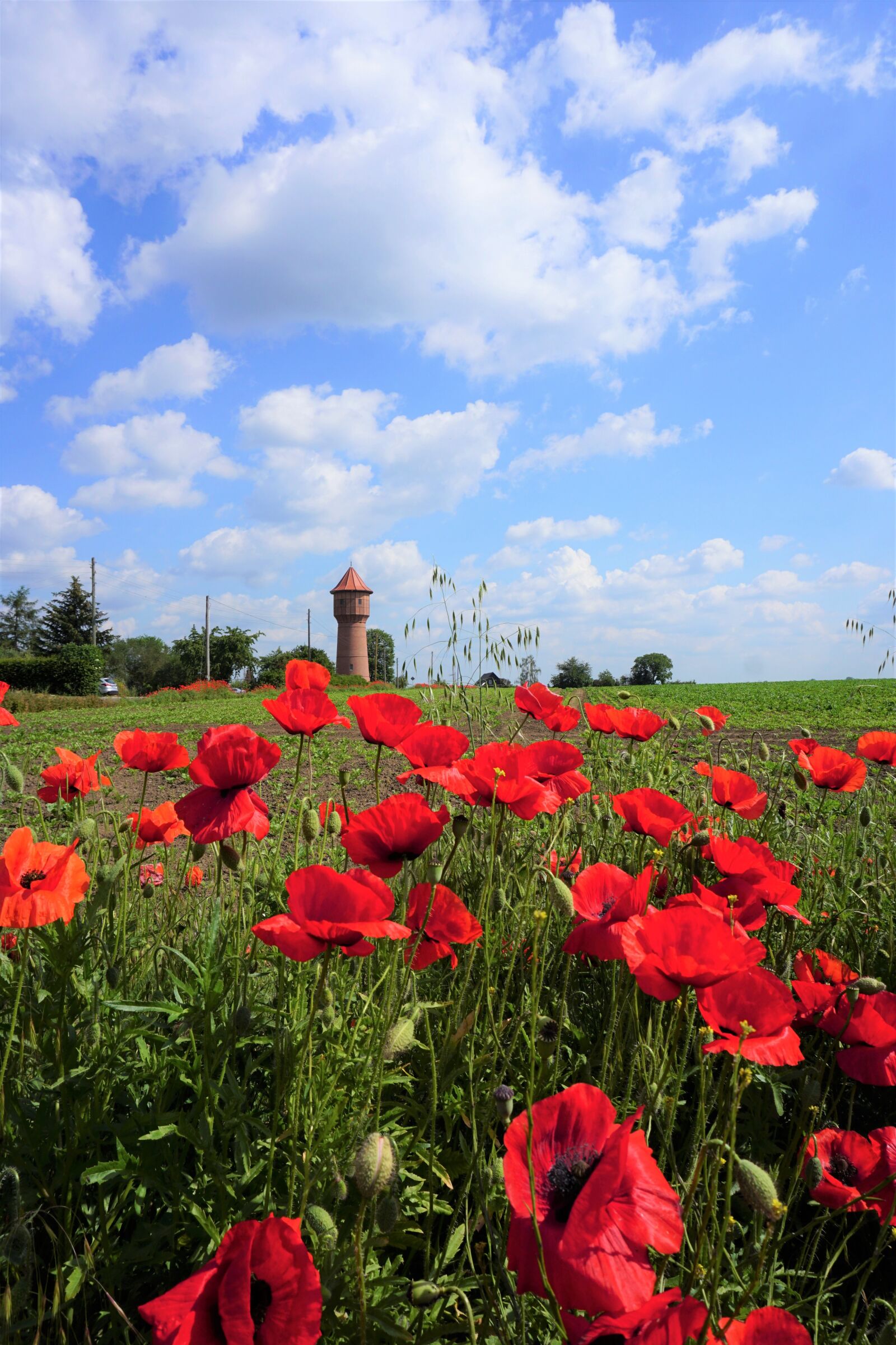 Sony a6000 sample photo. Water tower, field of photography