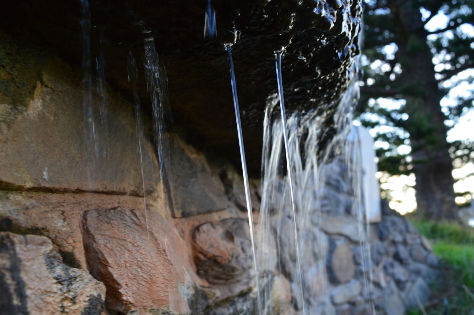 Nikon D3200 sample photo
