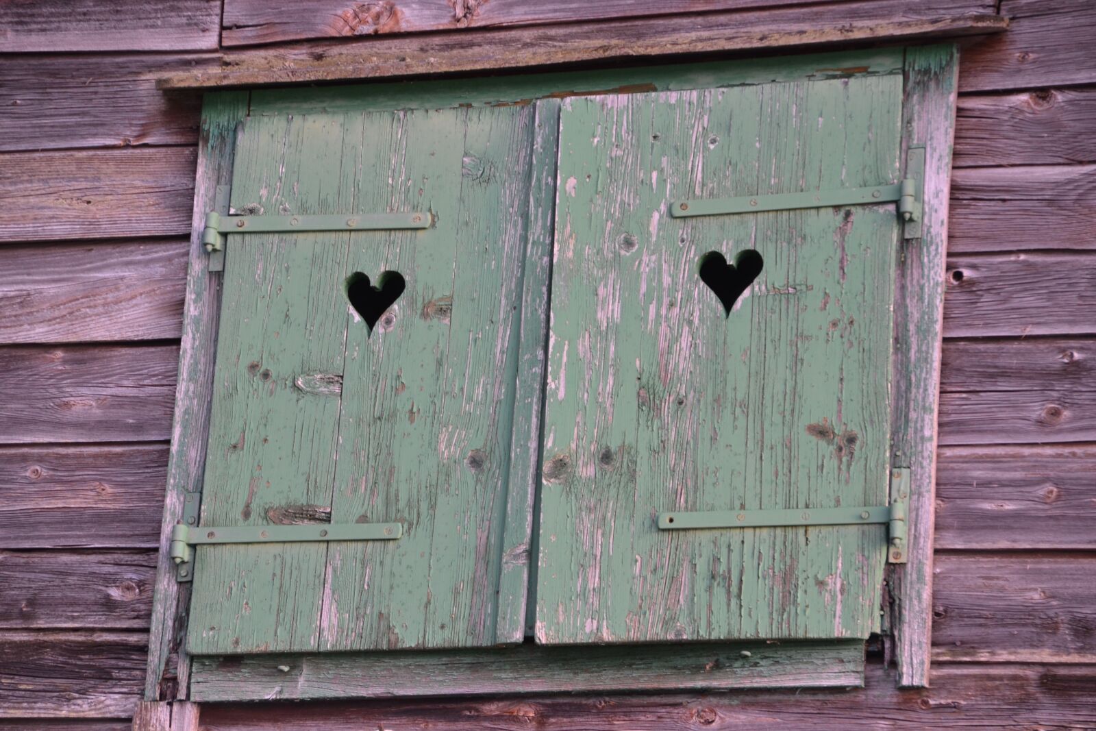 Nikon D3100 sample photo. Wood, woodhouse, wooden shutters photography