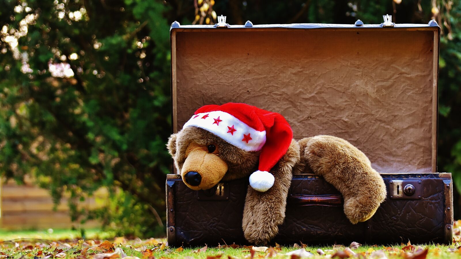 Nikon D7200 sample photo. Christmas, luggage, antique photography
