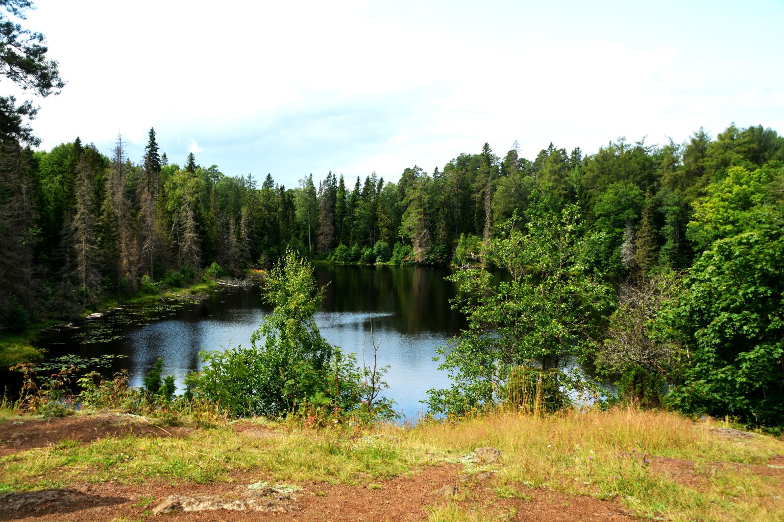 Nikon D7100 sample photo. Lake, forest, river photography