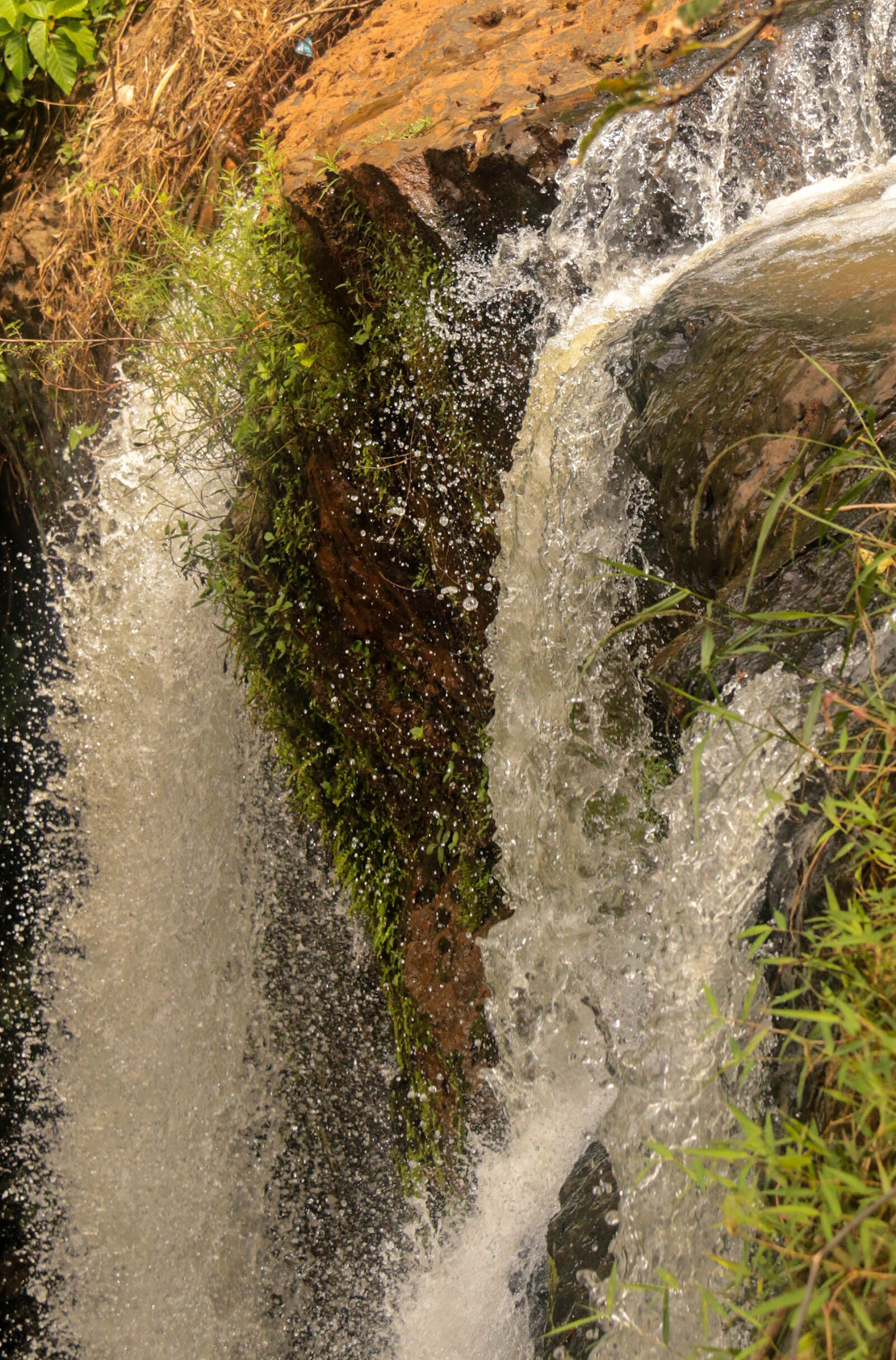 Canon EF-S 18-200mm F3.5-5.6 IS sample photo. Forest, nature, waterfall photography