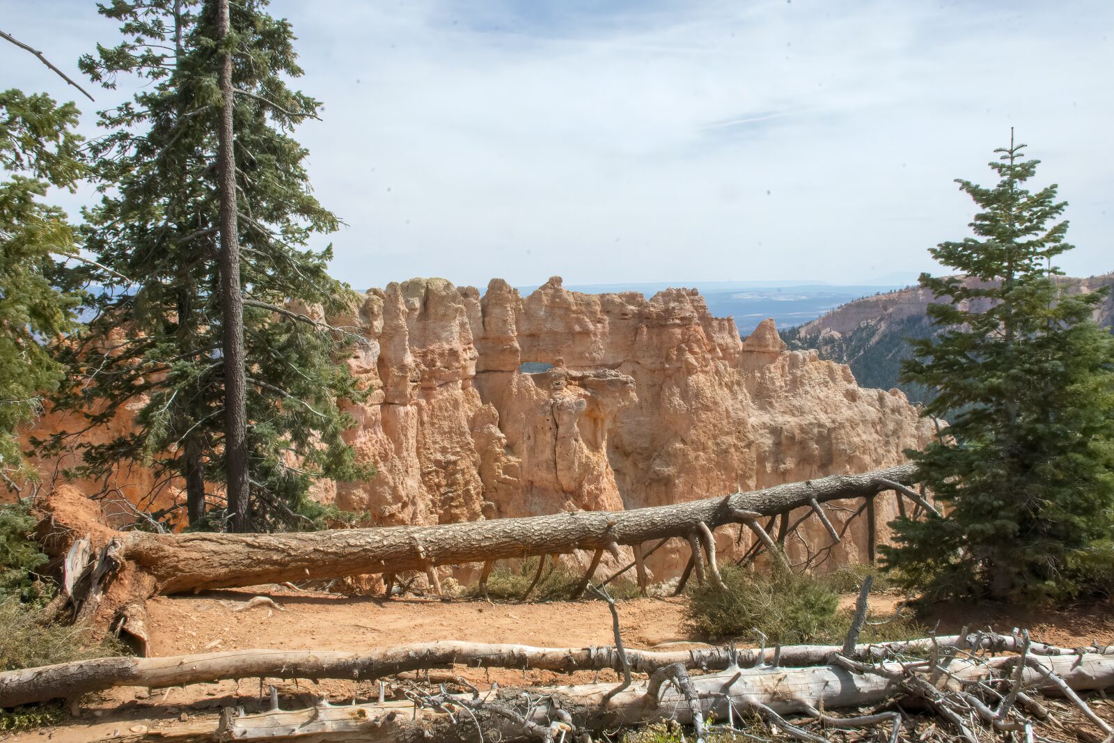 Nikon D800 sample photo. Bryce canyon, park, utah photography