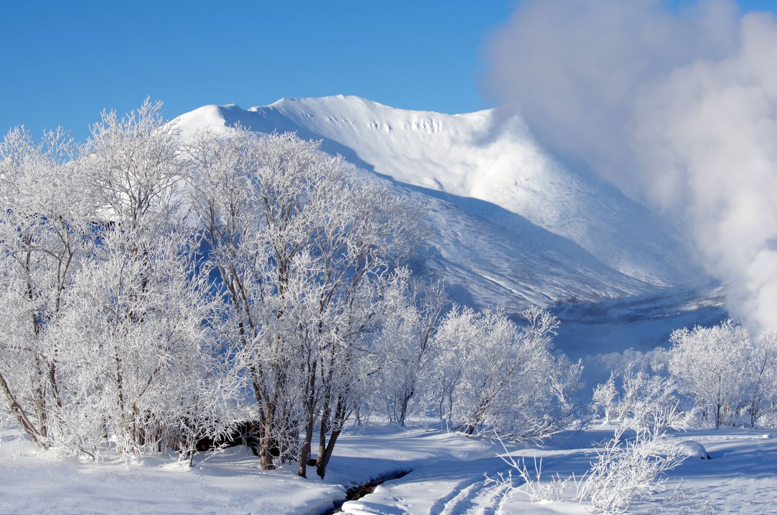 Pentax K-5 sample photo. Mountains, forest, winter photography
