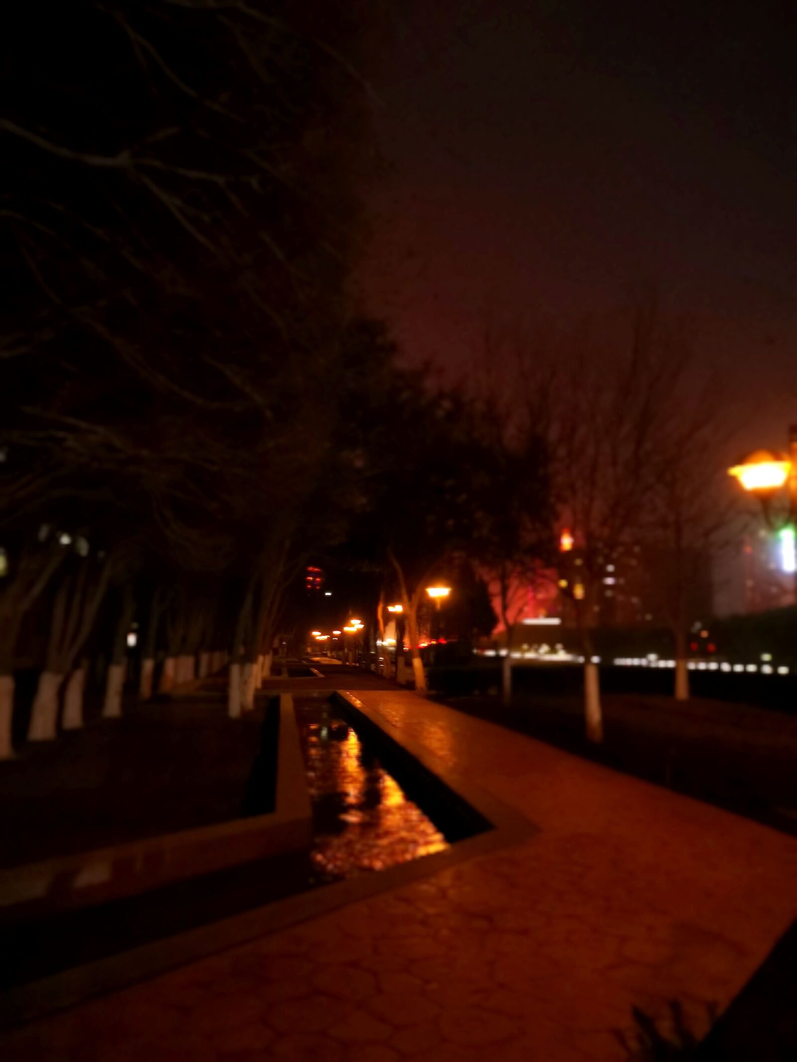 HUAWEI Mate 20 Pro sample photo. Light, night, red photography