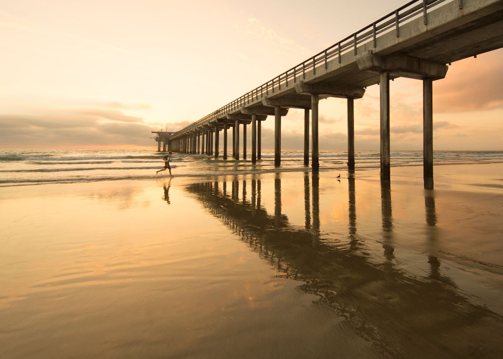Nikon D4 sample photo. Nature, beach, shore photography