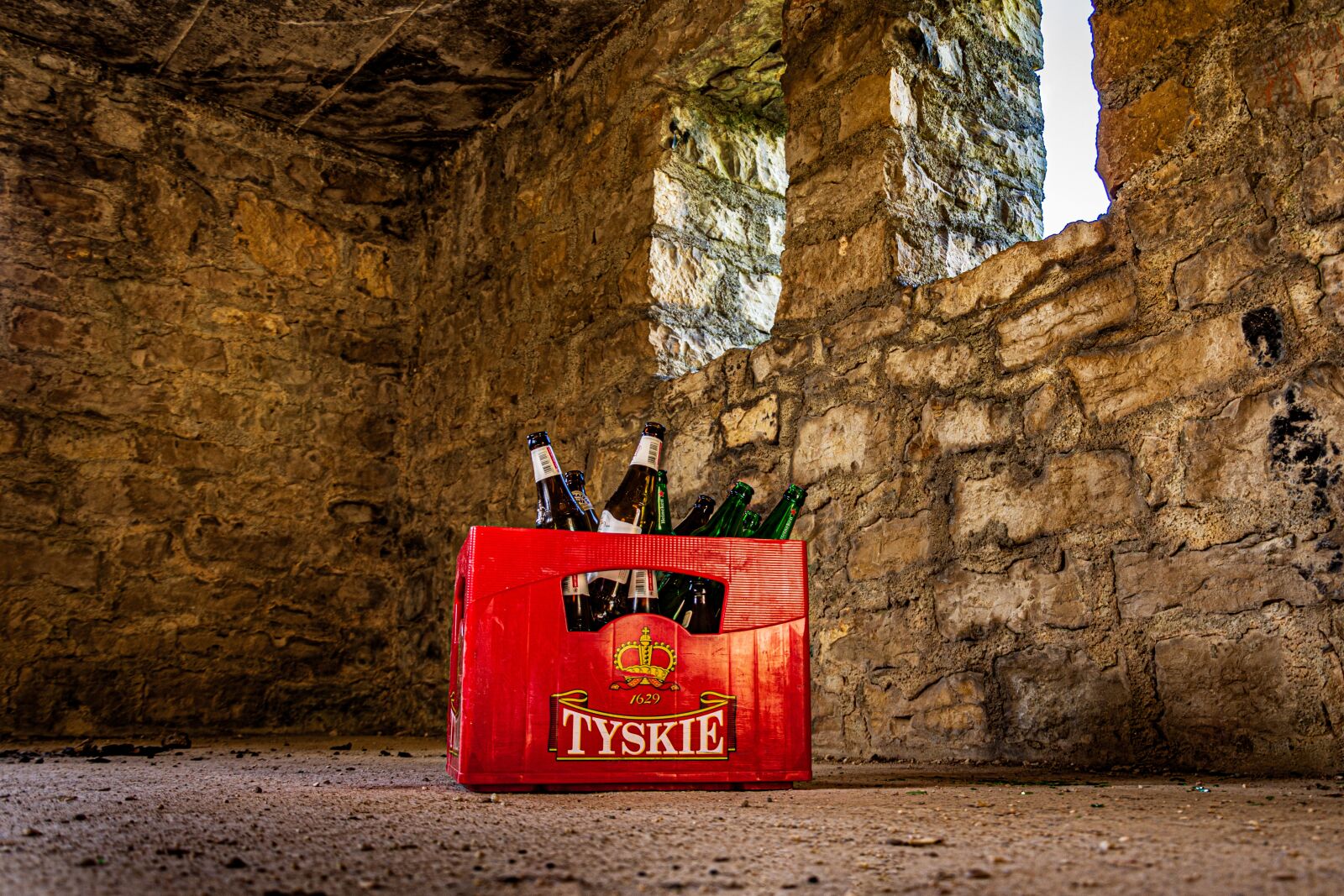 Nikon D7200 sample photo. Beer, box, environmental protection photography