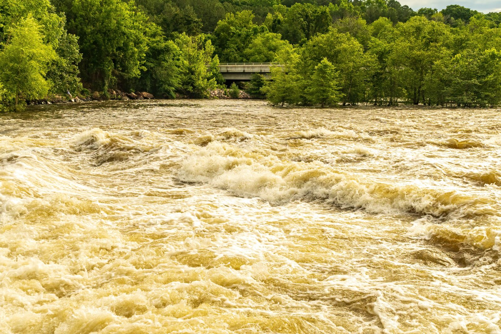 Sony E PZ 18-105mm F4 G OSS sample photo. Heavy rain, torrent, flood photography