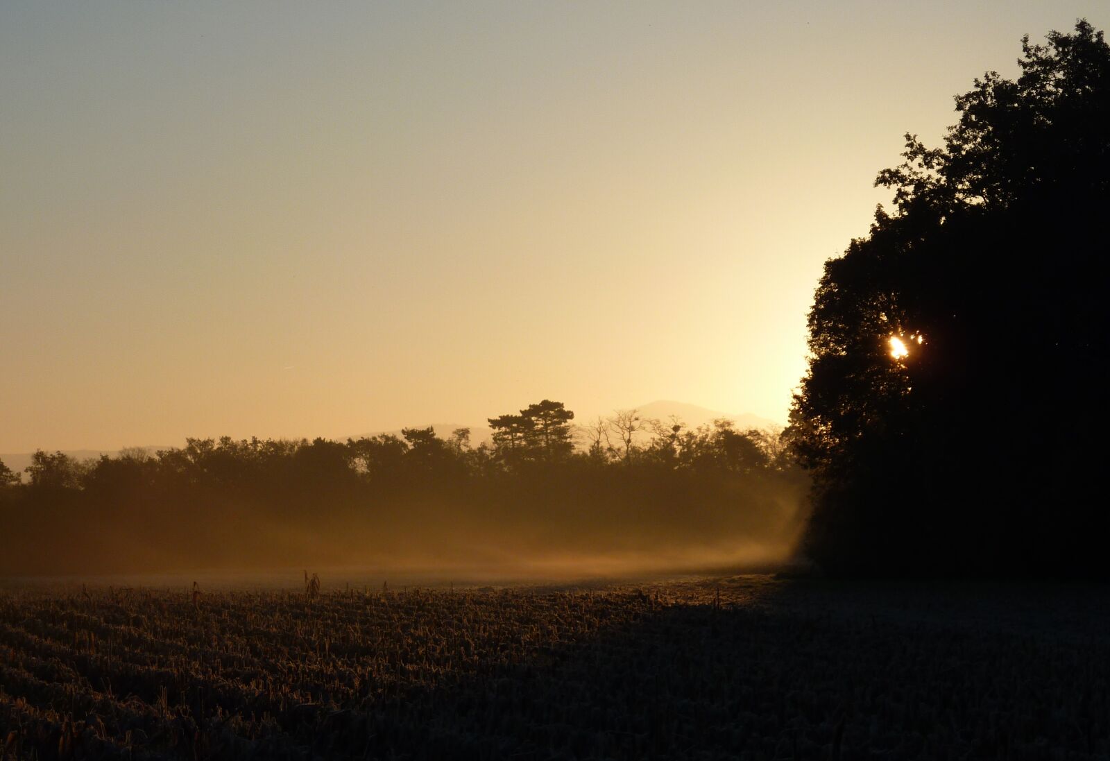 Panasonic DMC-TZ7 sample photo. Morning, sun, cold photography