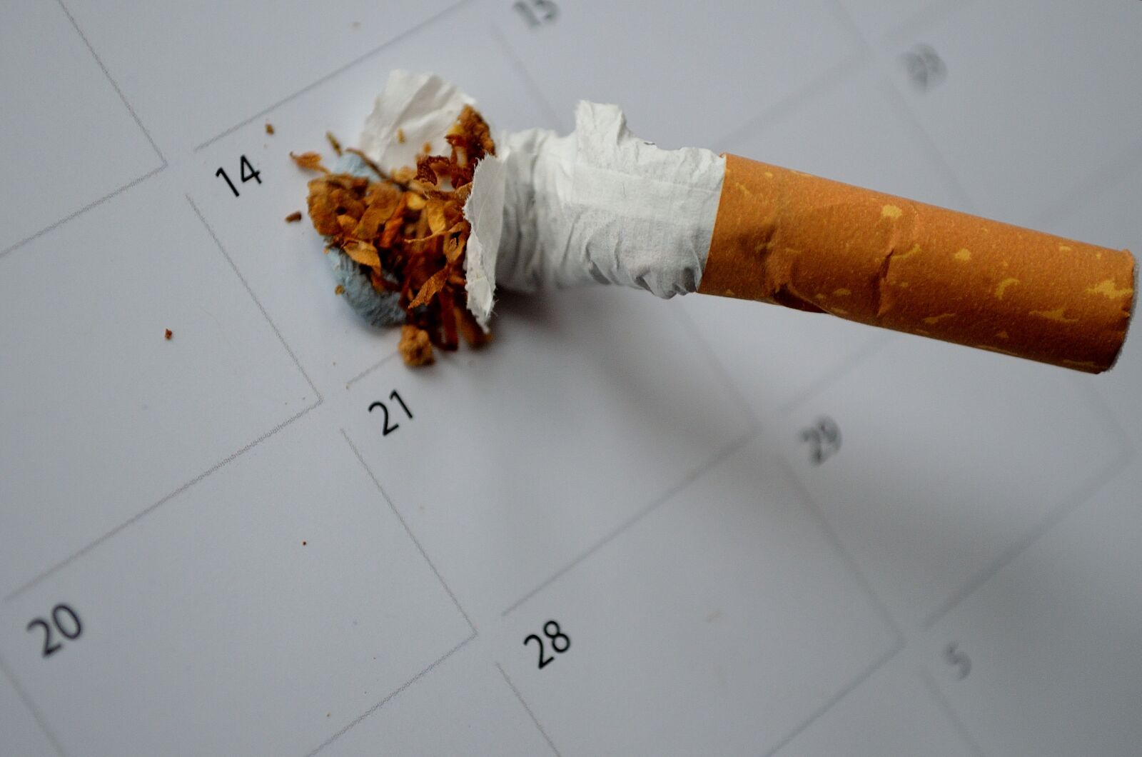 Nikon D5100 sample photo. Addiction, cancer, cigarette, date photography