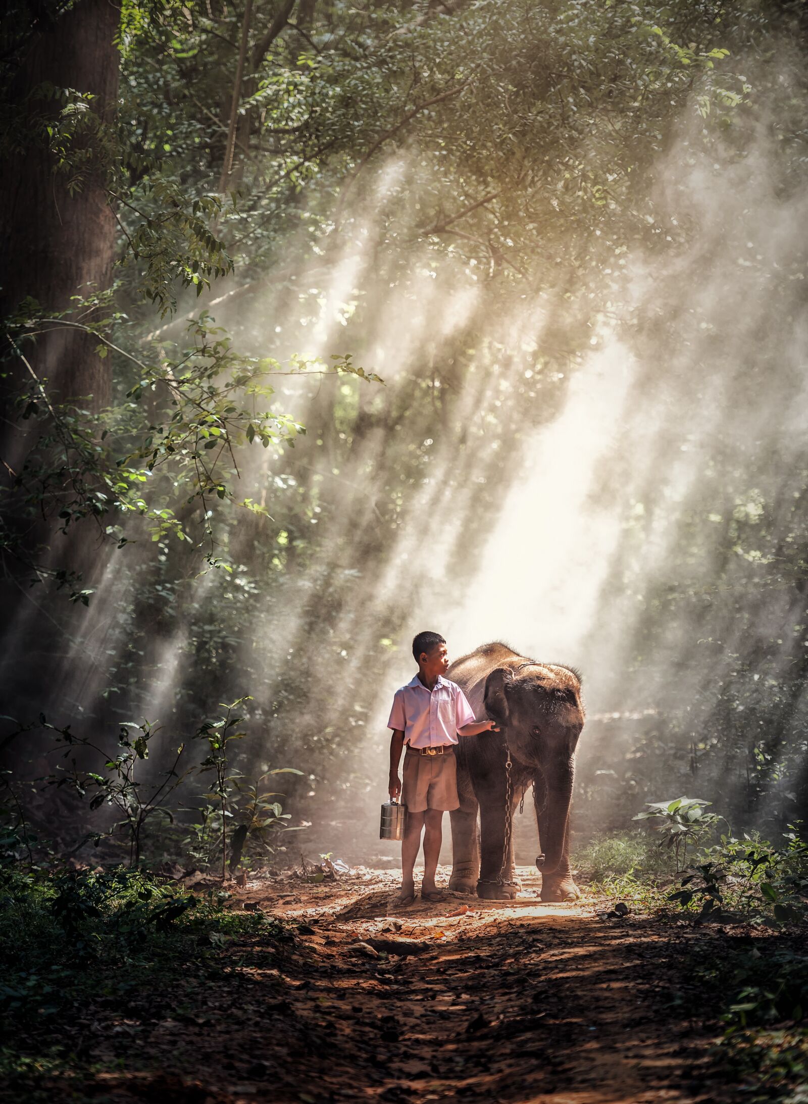 Nikon D810 sample photo. Elephant, boy, kid photography