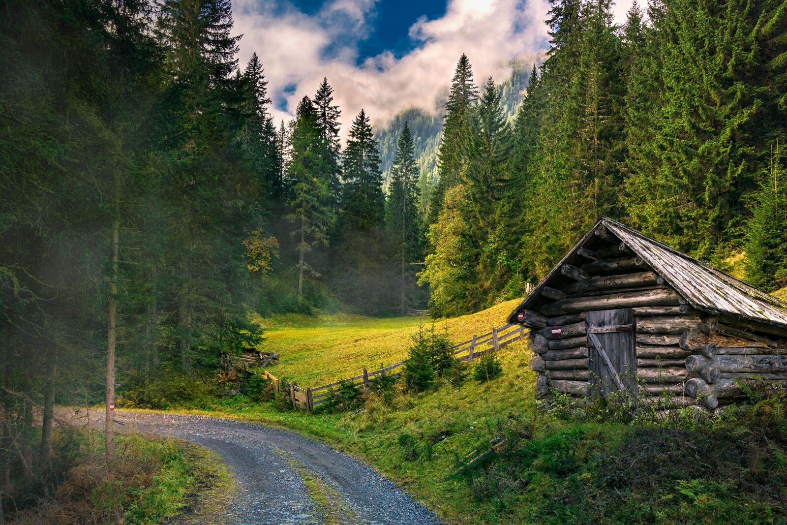 Sony E 16-50mm F3.5-5.6 PZ OSS sample photo. Landscapes, forest, nature photography