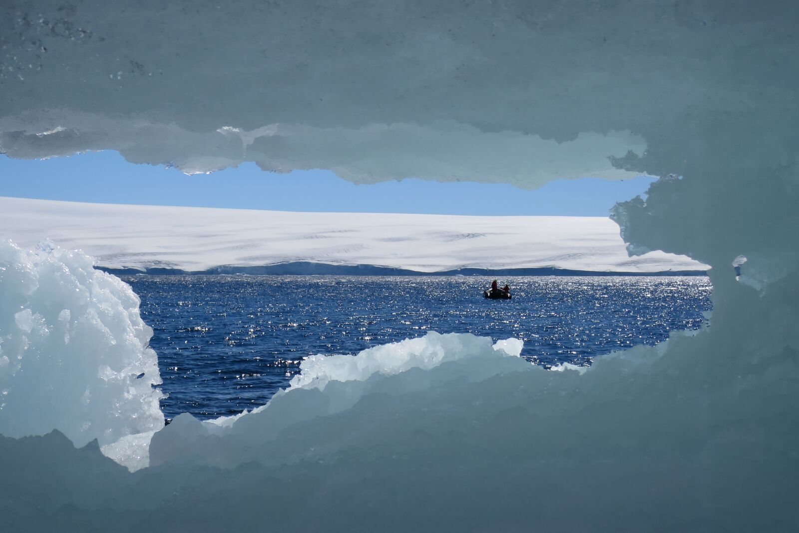 Frozen ocean. Насекомые Антарктиды. Оазис Ширмахера в Антарктиде фото. Картинки Антарктиды насекомое. Насекомое Антарктиды единственное.