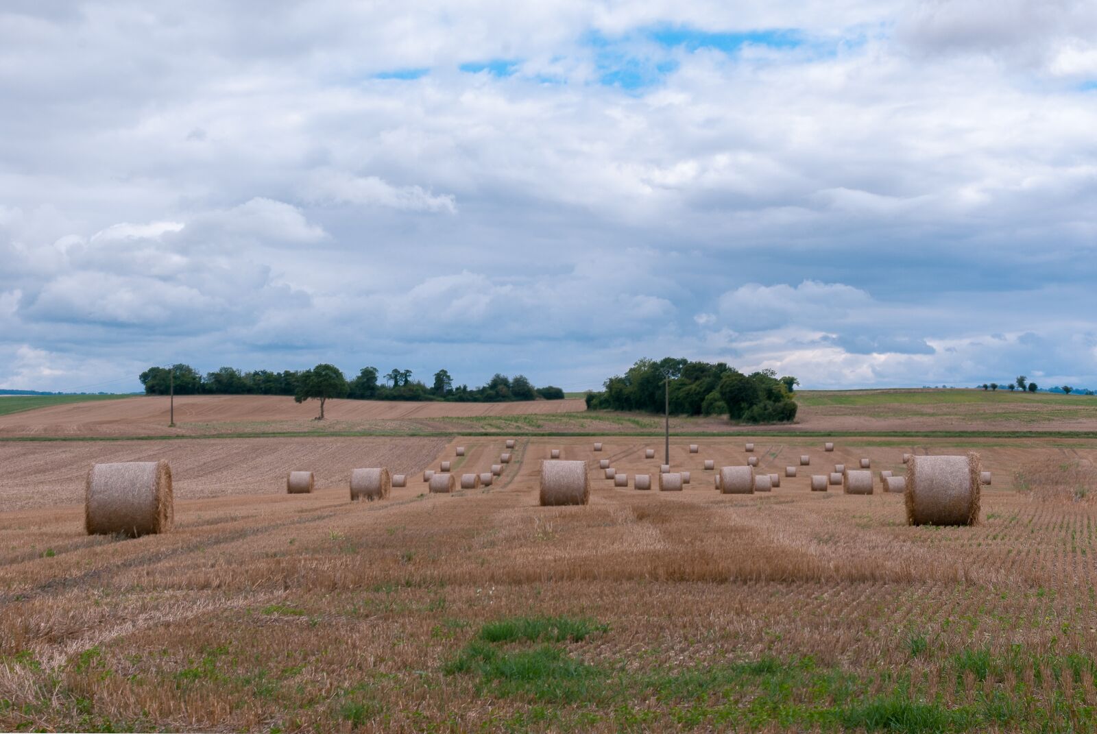 Nikon D80 sample photo. Landscape, field, france photography
