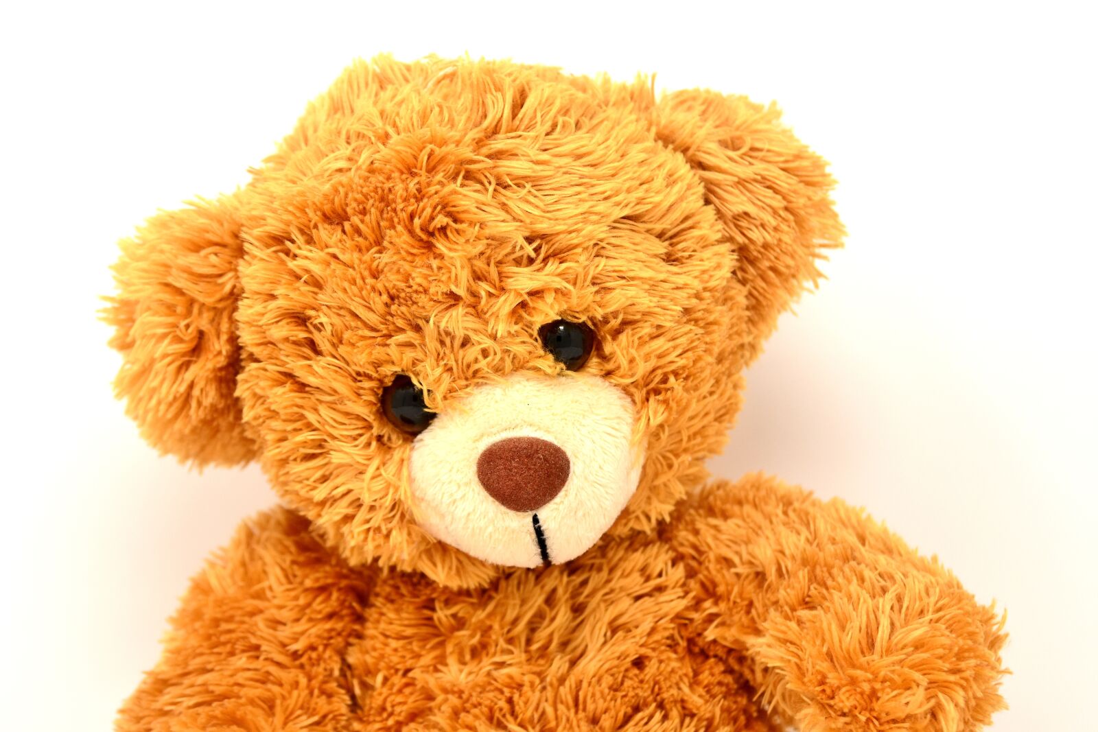 Nikon D7200 sample photo. Teddy, soft toy, bears photography