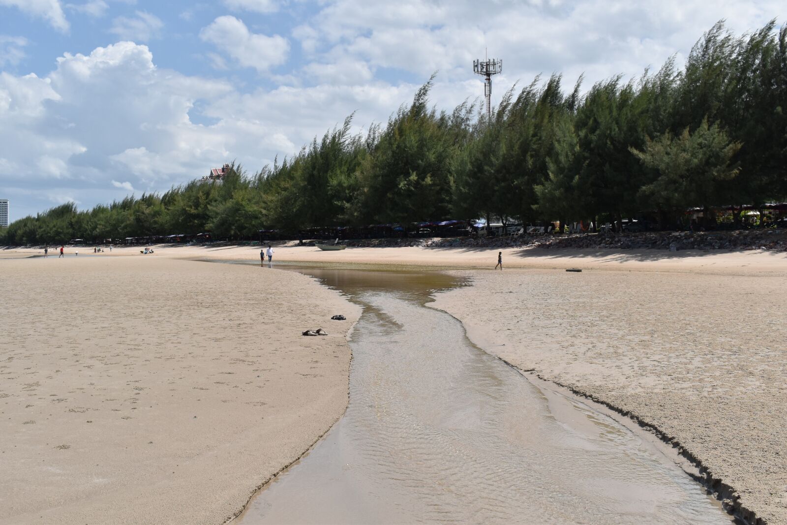 Nikon D5600 sample photo. Pine trees, sandy beach photography
