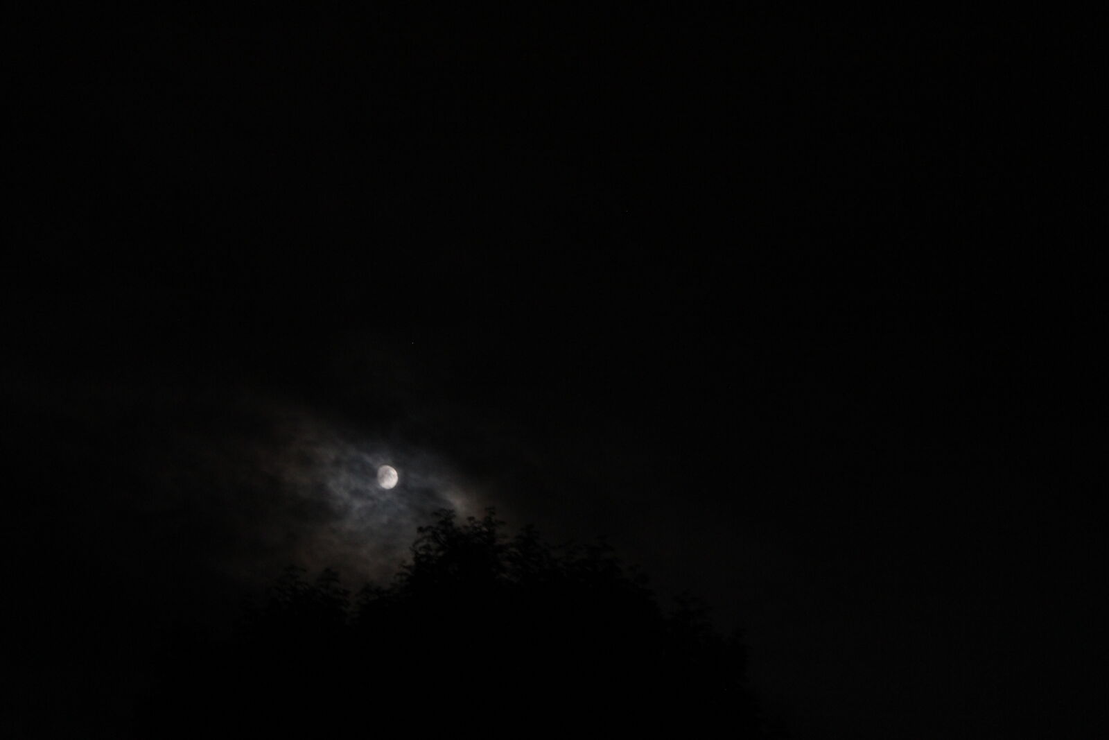 Canon EOS 550D (EOS Rebel T2i / EOS Kiss X4) + Canon EF-S 18-55mm F3.5-5.6 IS sample photo. Dark, moon, night, sky photography