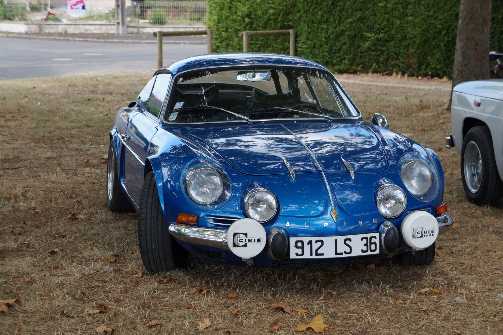 Sony Alpha a3000 sample photo. Renault, alpine, 110 photography