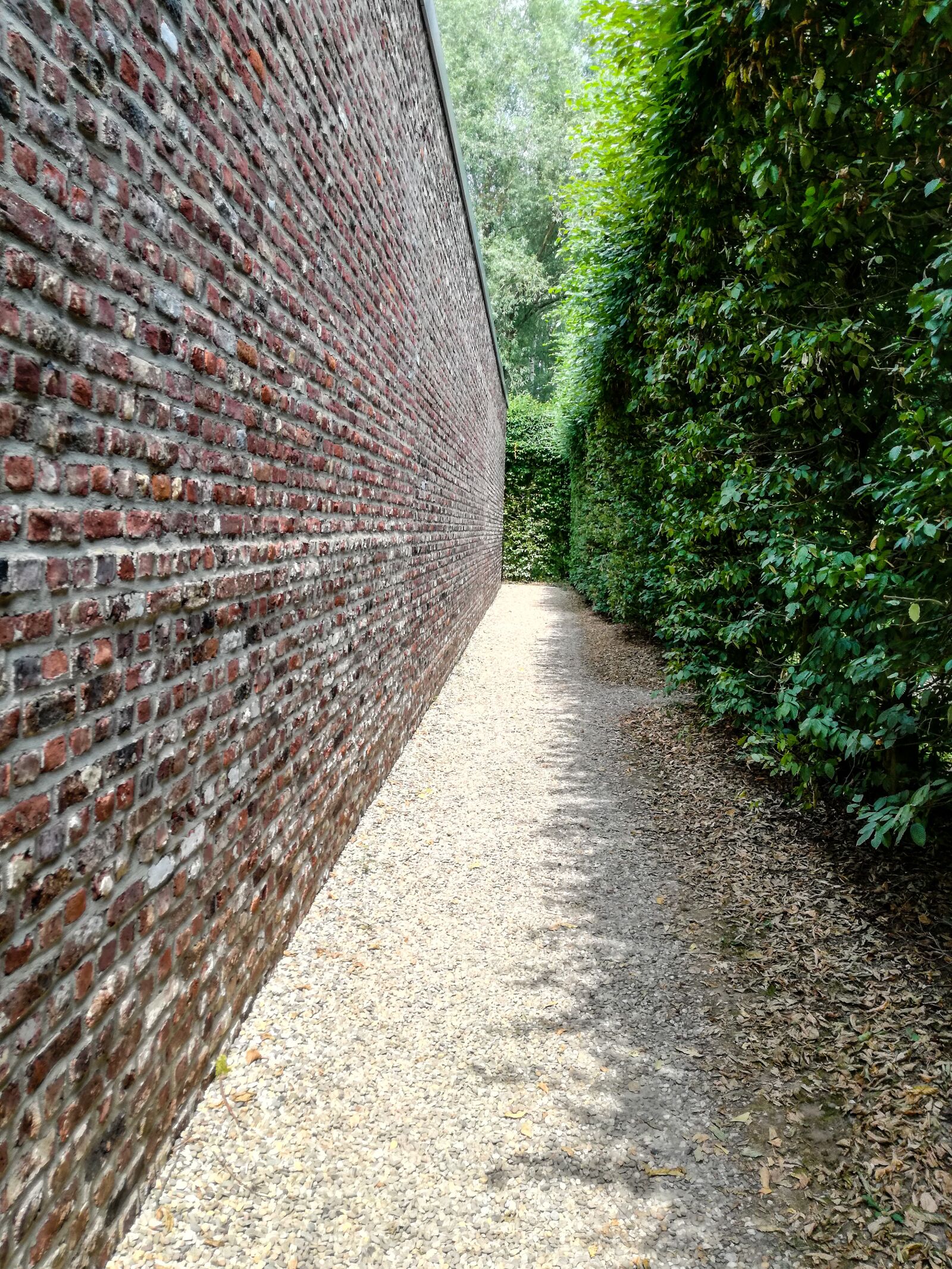 HUAWEI P9 LITE sample photo. Wall, hedge, vanishing point photography