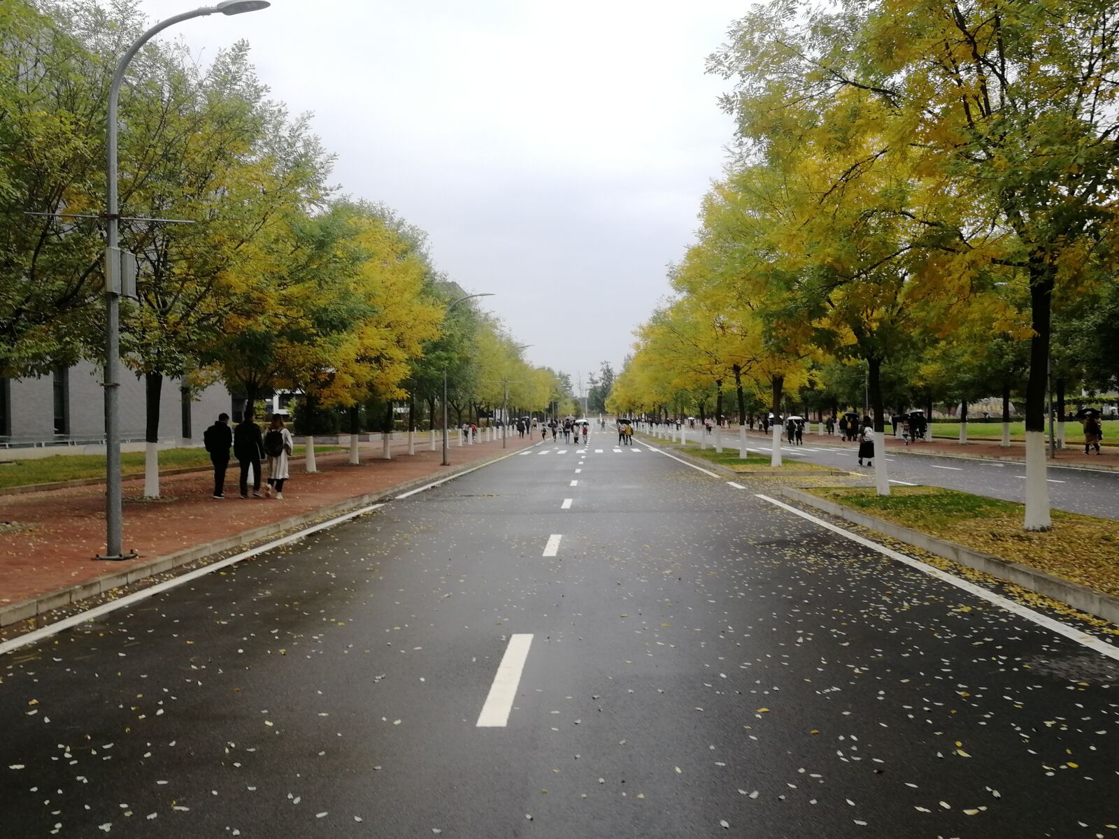 HUAWEI Honor 9 sample photo. Autumn, rain, leaves photography