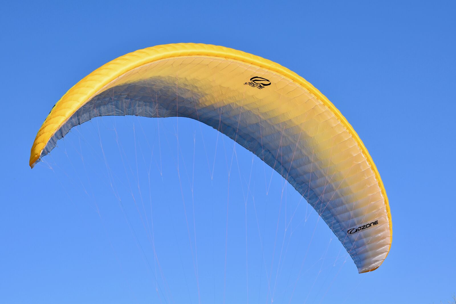 Nikon D5600 sample photo. Paragliding, sailing paragliding, wing photography