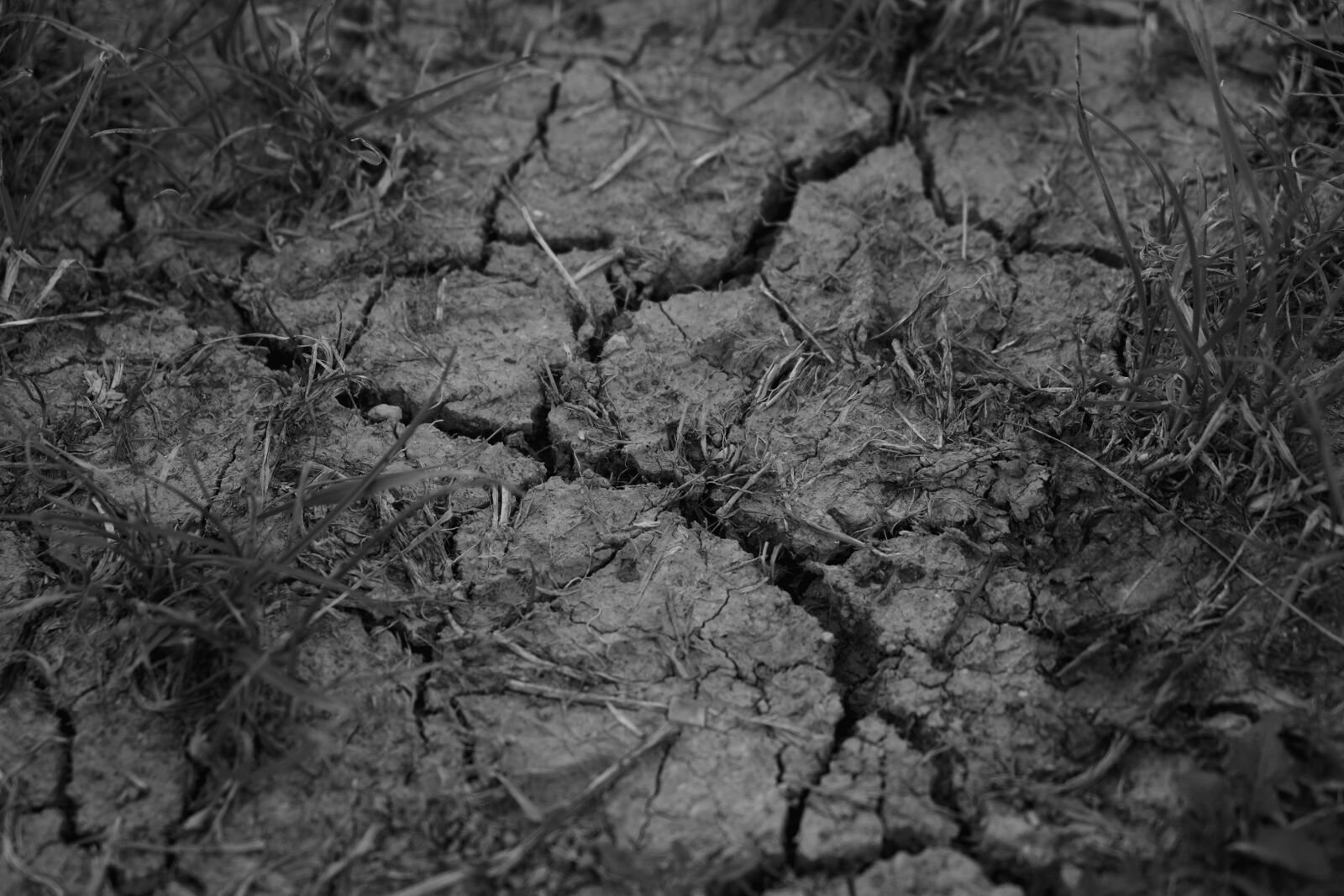 Fujifilm X-E1 sample photo. Drought, cracks, dehydrated photography