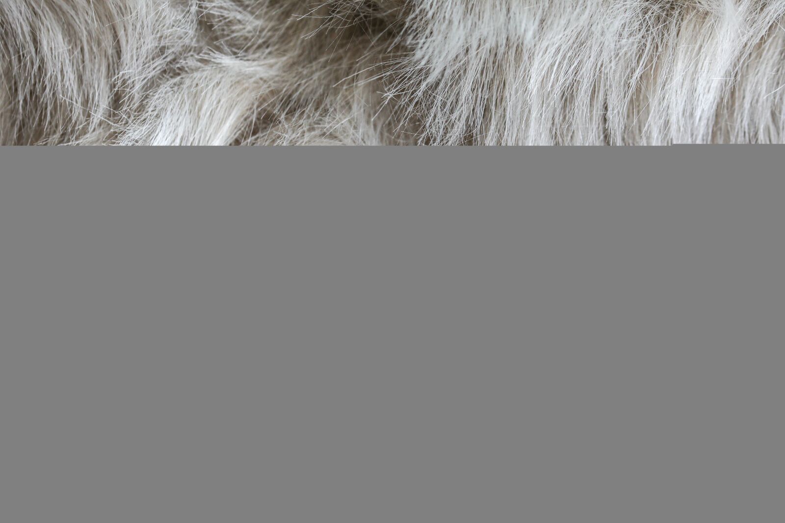 Canon EOS 5D Mark IV sample photo. Fur, fluffy, alpaca photography