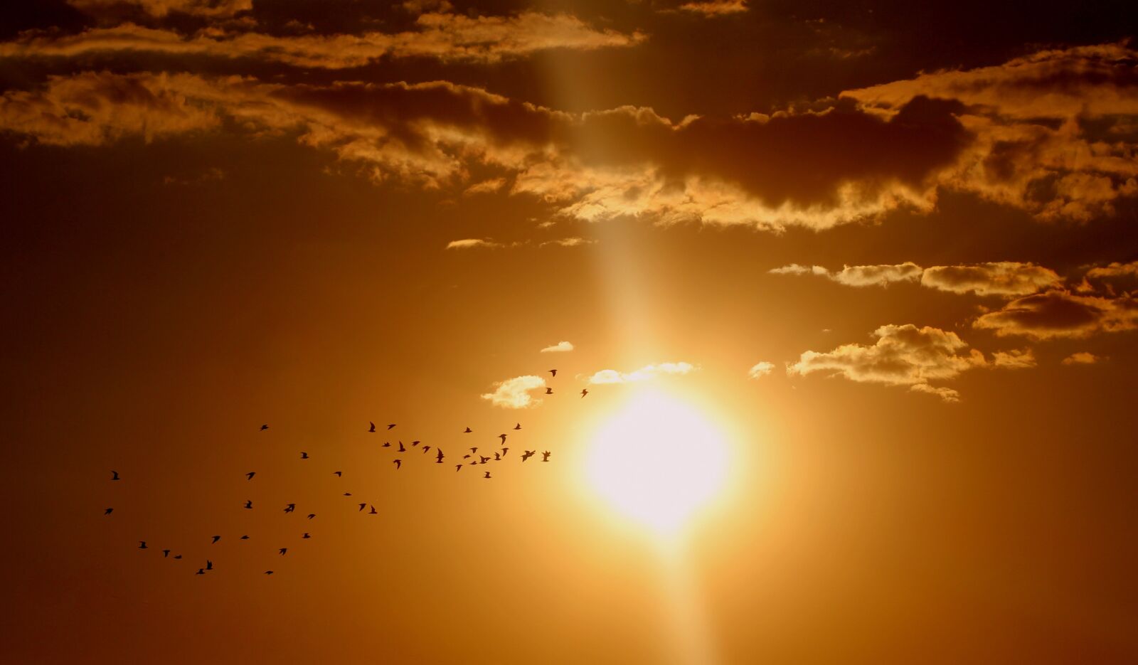 Canon EOS 700D (EOS Rebel T5i / EOS Kiss X7i) + Canon EF 85mm F1.8 USM sample photo. Sunset, birds, cloud photography