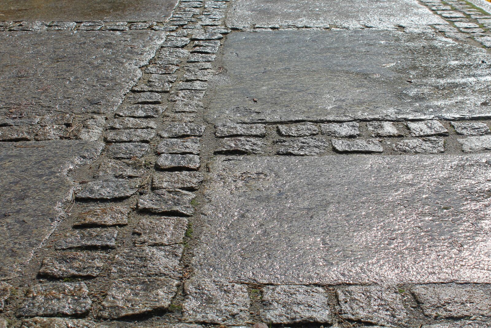 Canon EOS 1200D (EOS Rebel T5 / EOS Kiss X70 / EOS Hi) sample photo. Walkway, pavement, wet photography