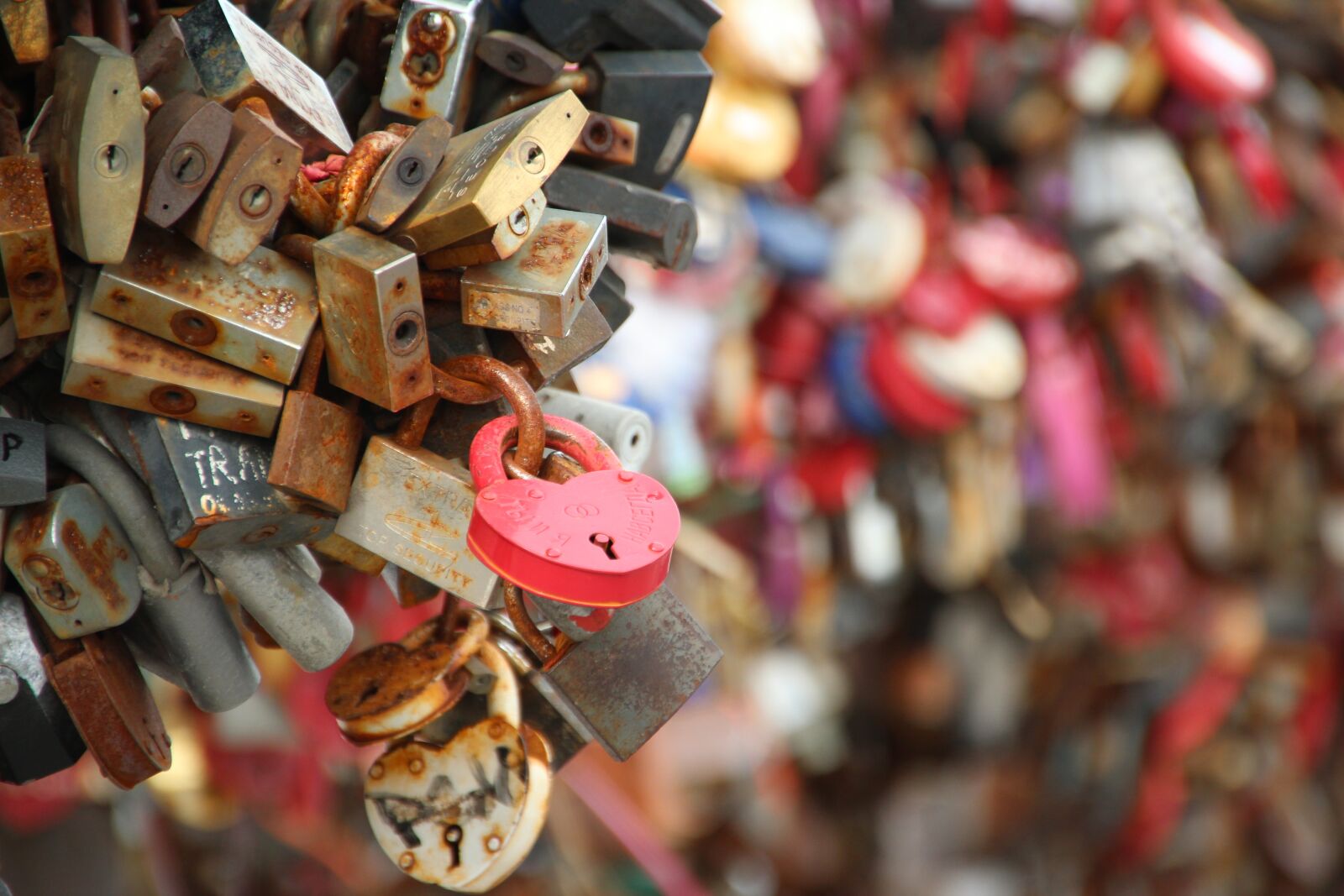 Canon EOS 600D (Rebel EOS T3i / EOS Kiss X5) sample photo. Love locks, padlock, love photography