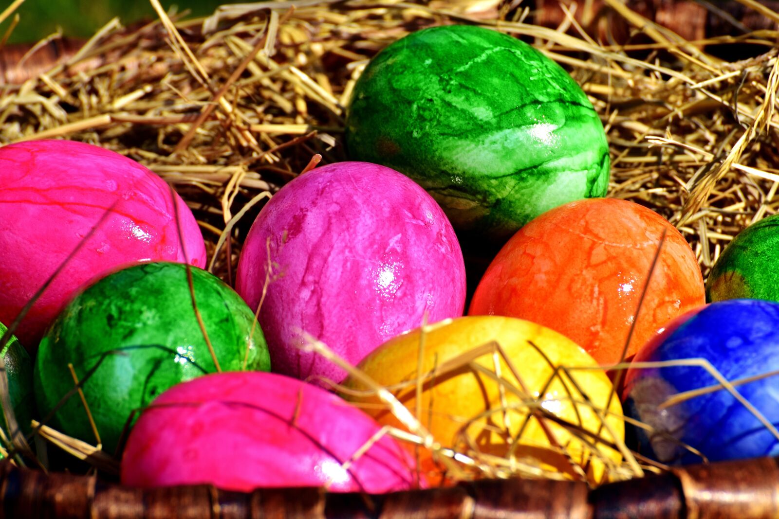 Nikon D7200 sample photo. Egg, colored, colorful photography