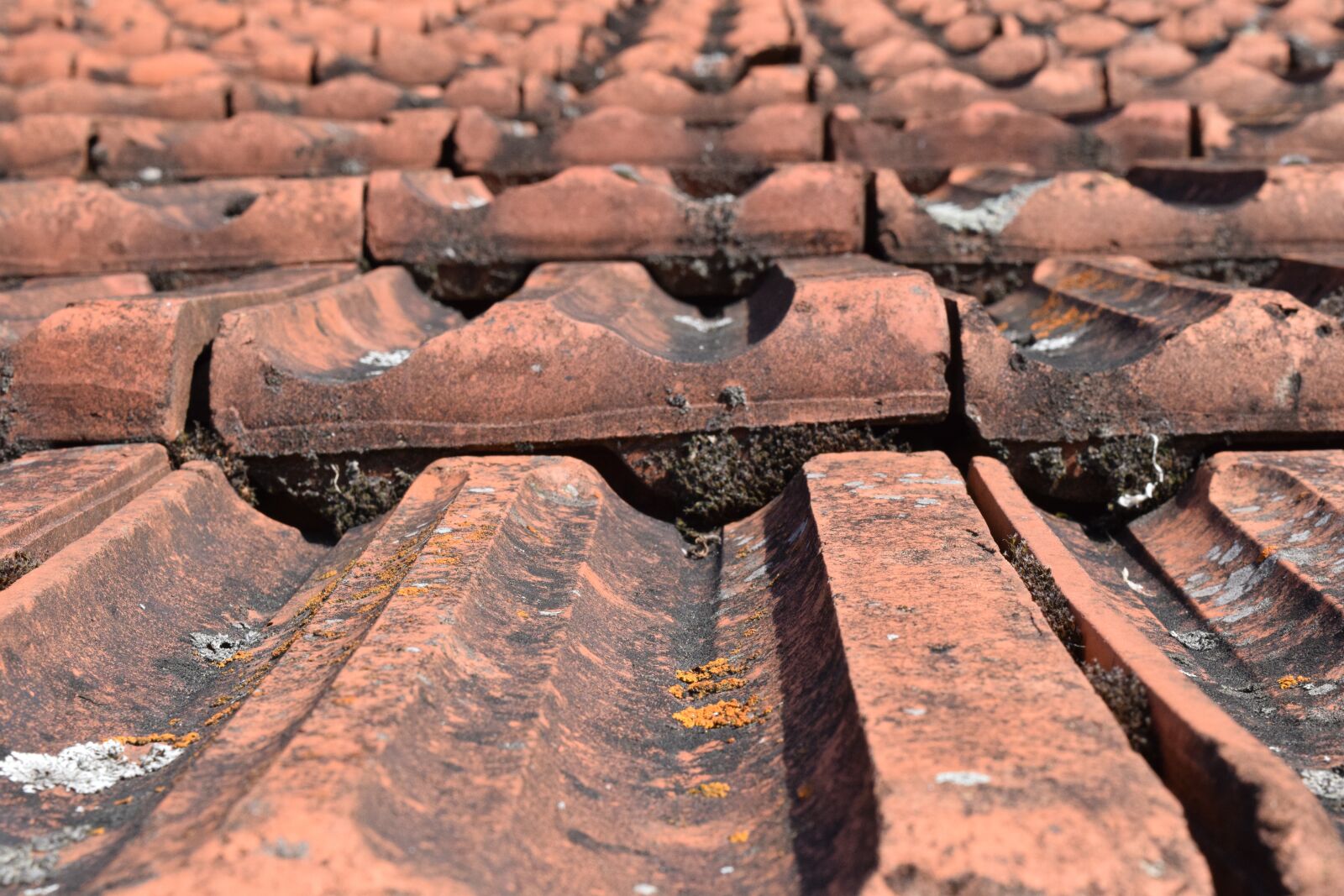 Nikon D3300 sample photo. Housetop, weathered, tile photography