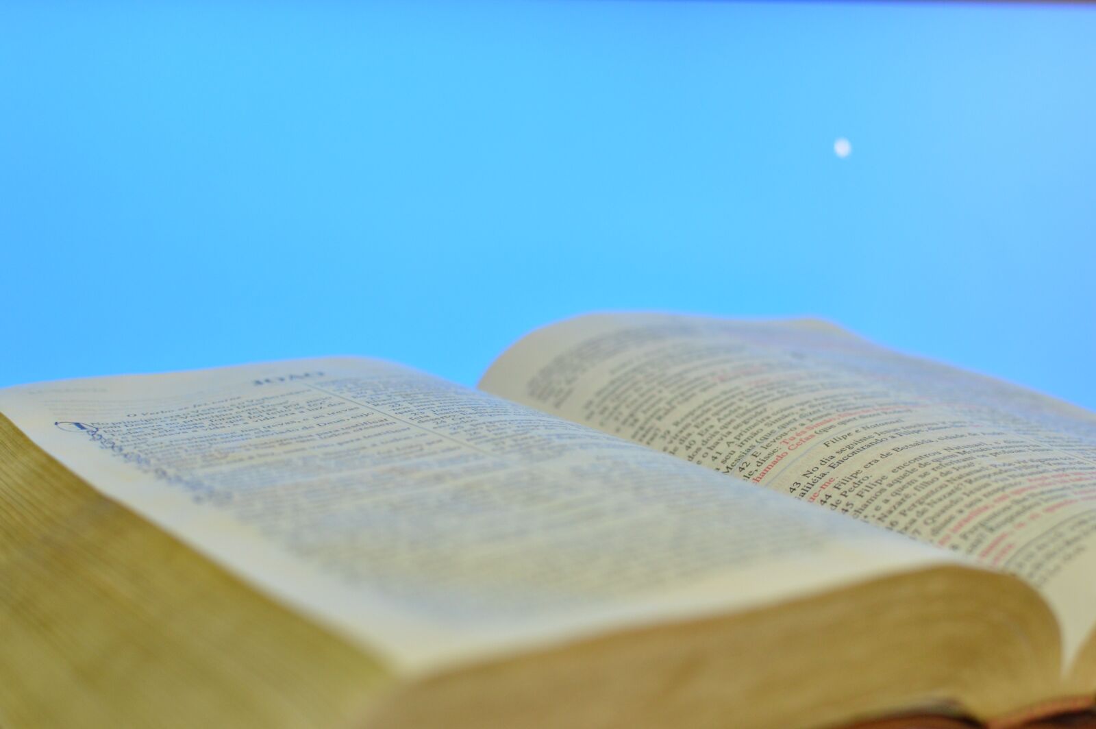 Nikon D3200 sample photo. Bible, sacred, word photography