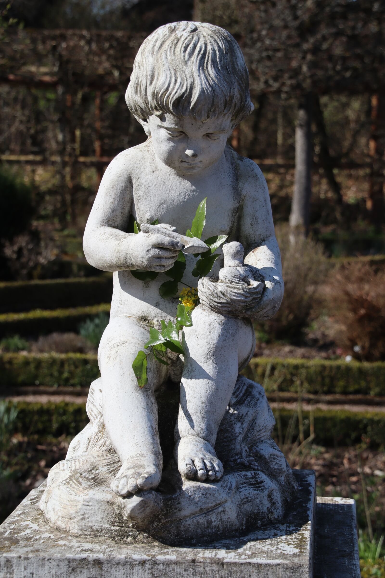 Canon EOS M50 (EOS Kiss M) sample photo. Statue, amor, the love photography