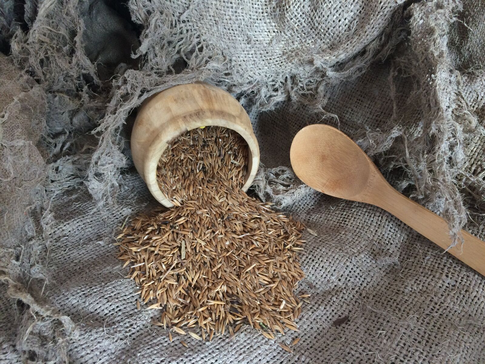 iPhone 5s back camera 4.15mm f/2.2 sample photo. Cereal, old, vintage photography