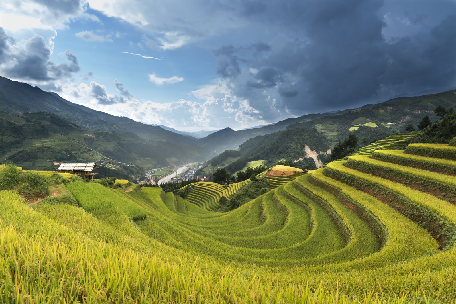 Sony a7R II + Sony FE 24-70mm F2.8 GM sample photo. Vietnam, rice, rice field photography