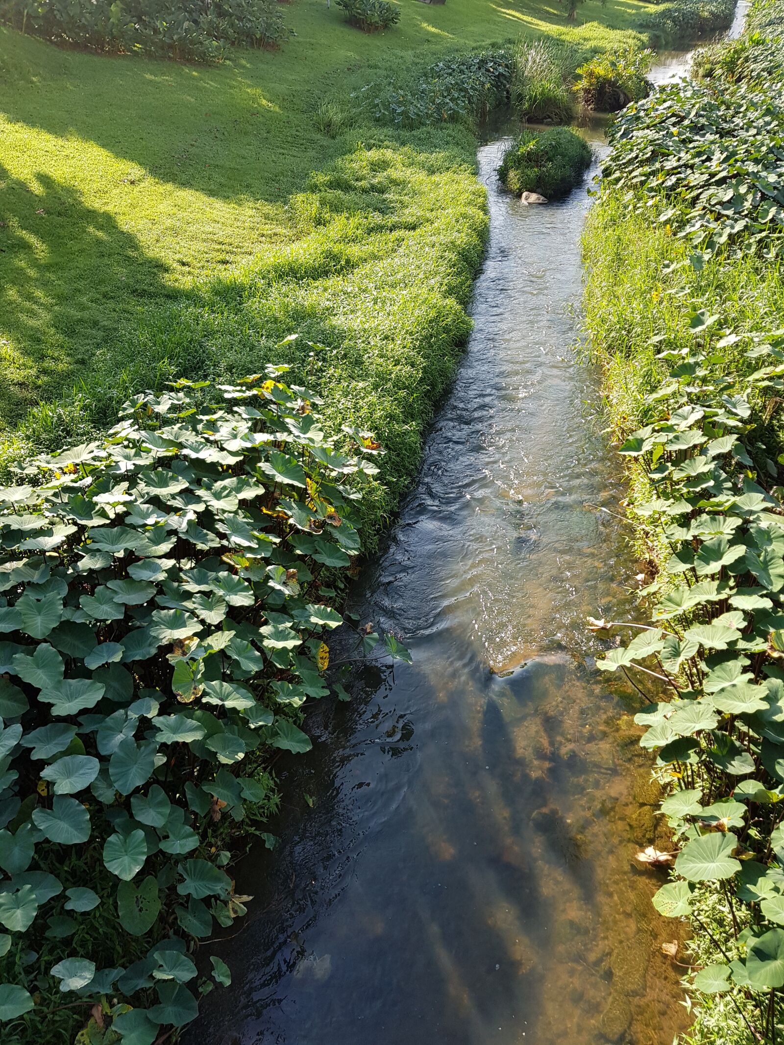 Samsung Galaxy S8 sample photo. Stream, garden, park photography