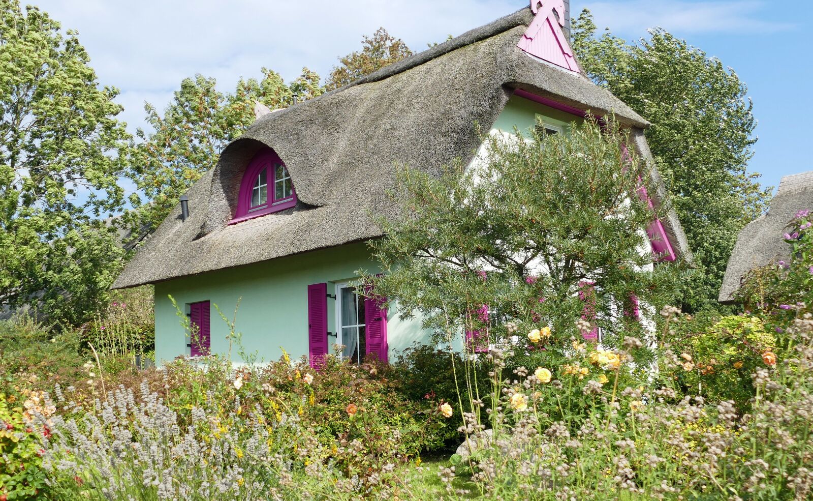 Panasonic Lumix DMC-FZ1000 sample photo. House, building, thatched roof photography