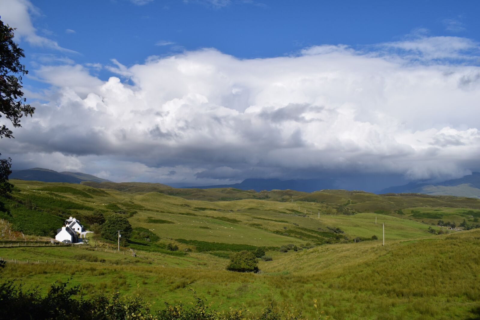 Nikon D3300 sample photo. Fields, sky, grass photography