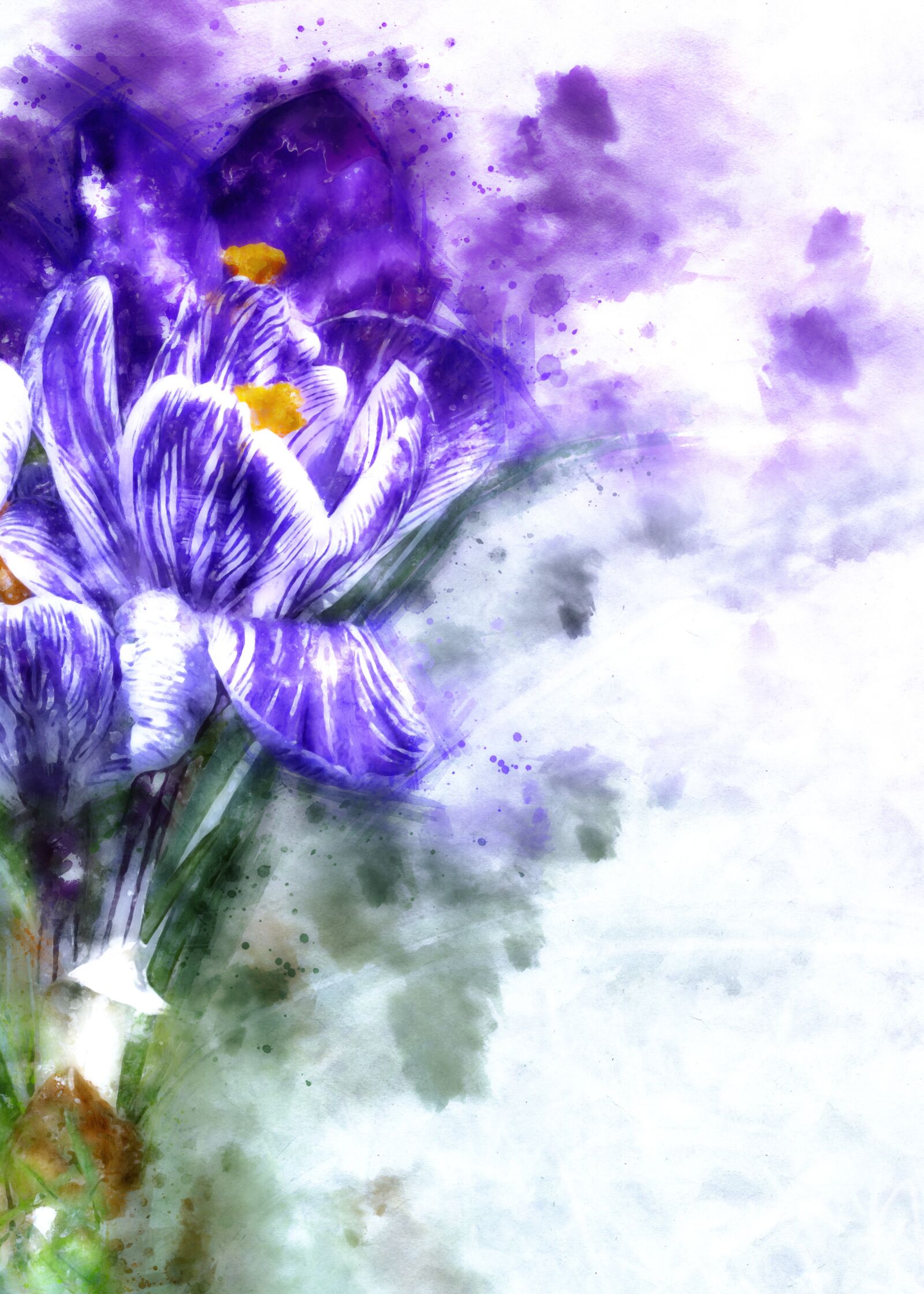 Sony DT 55-300mm F4.5-5.6 SAM sample photo. Crocus, schwertliliengewaechs, flower photography