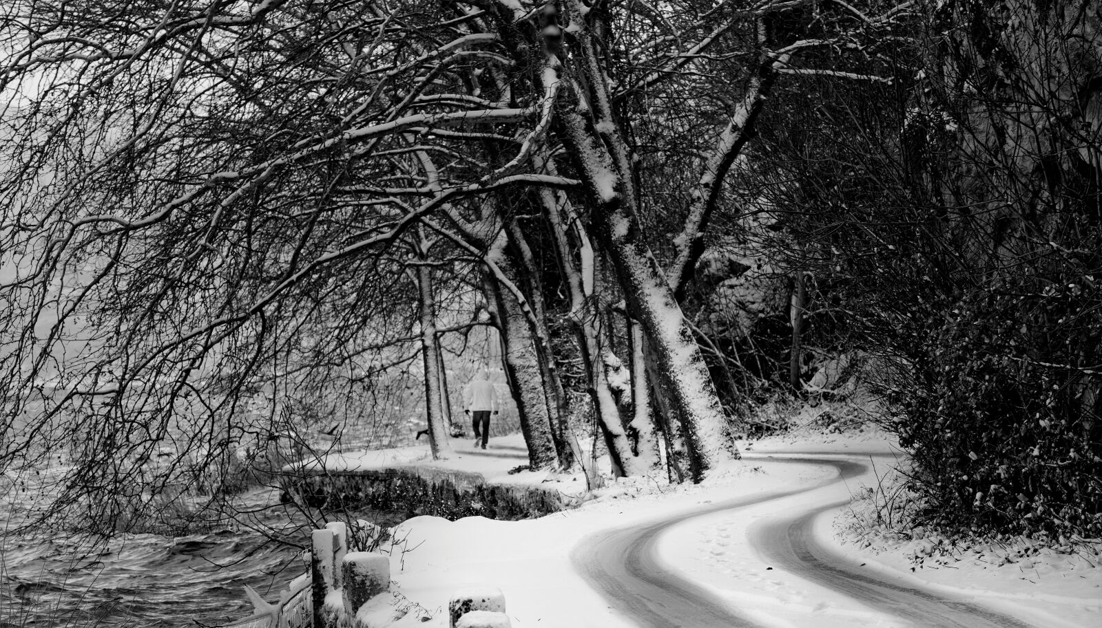 Nikon D5300 sample photo. Snow, black white, road photography