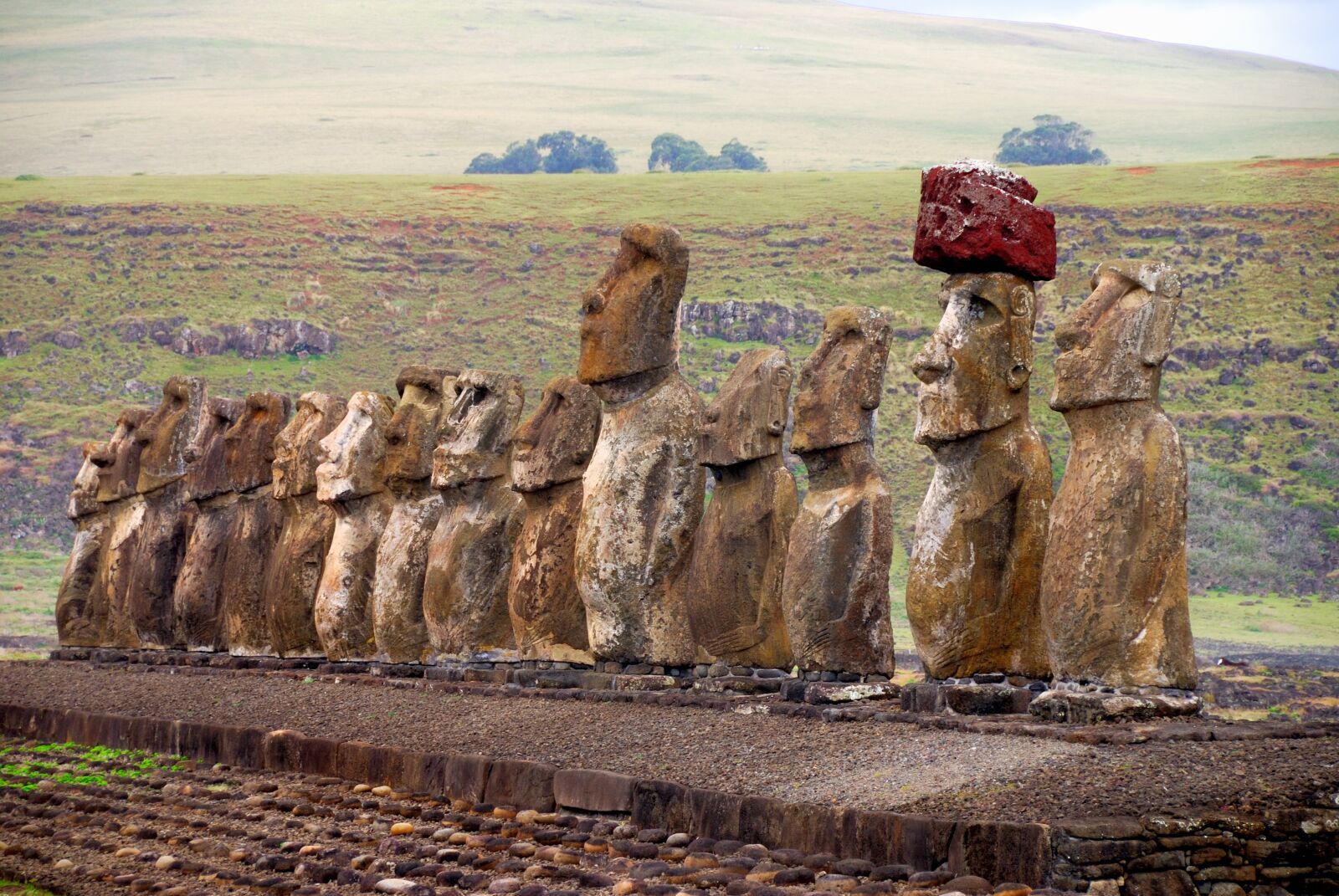 Nikon D80 sample photo. Chile, easter island, rapa photography