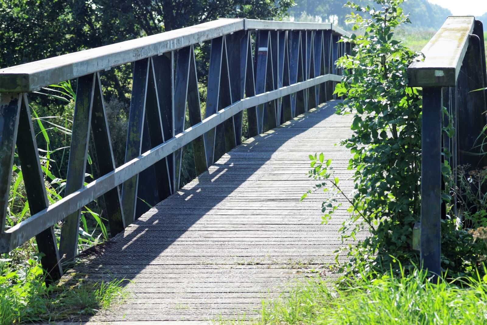 Minolta AF 70-210mm F4 Macro sample photo. Bridge, nature, path photography