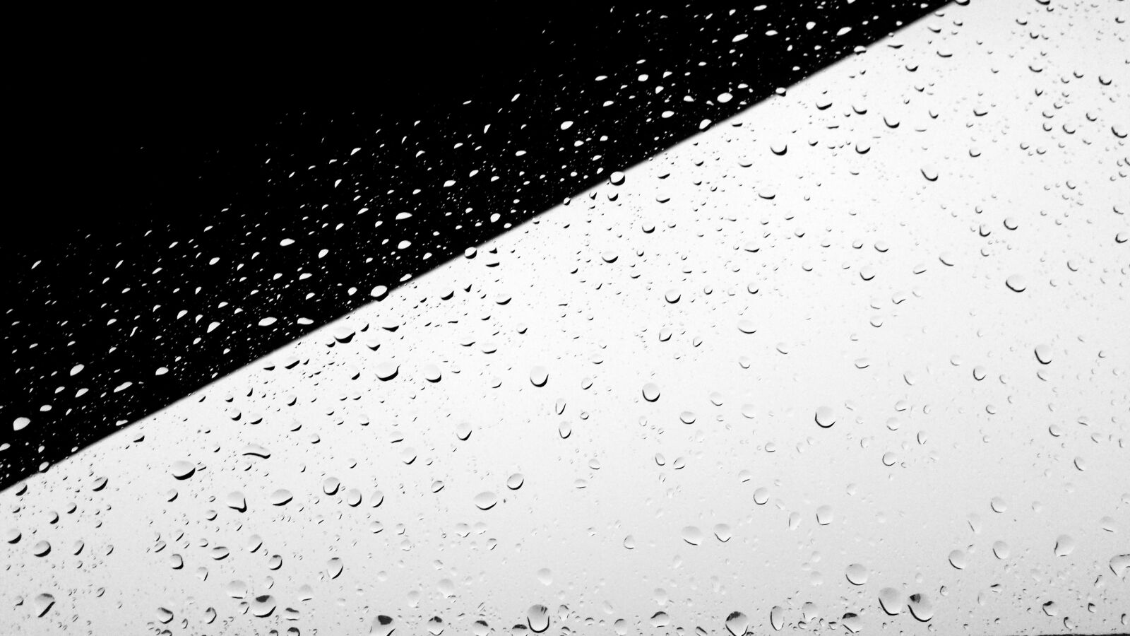 Samsung Galaxy S4 sample photo. Black, white, black, and photography
