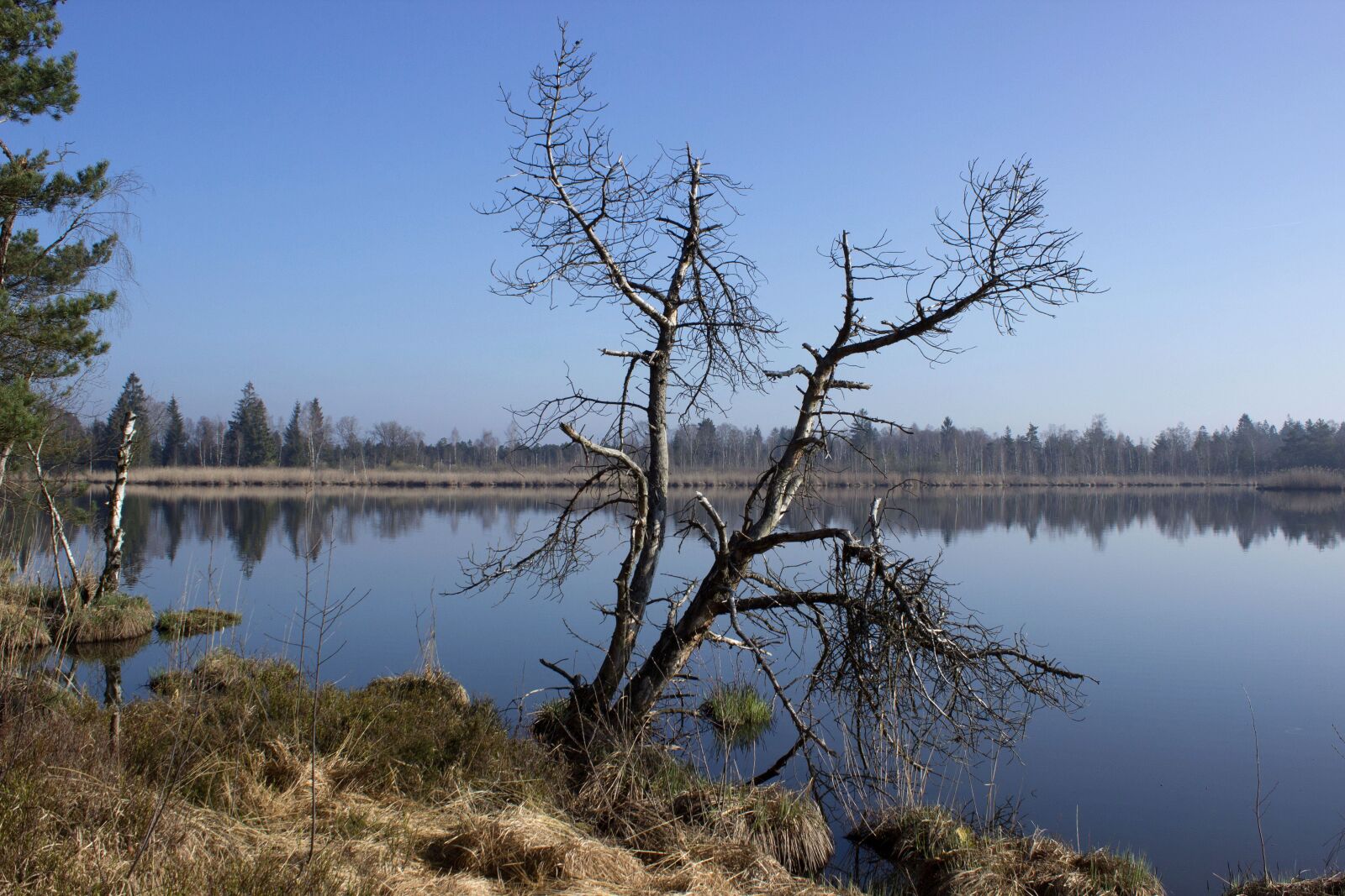 Canon EOS 600D (Rebel EOS T3i / EOS Kiss X5) sample photo. Riedsee, moor, wurzacher ried photography