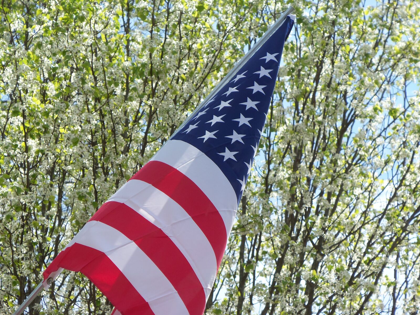 Kodak EASYSHARE M580 DIGITAL CAMERA sample photo. Flag, american, wing photography