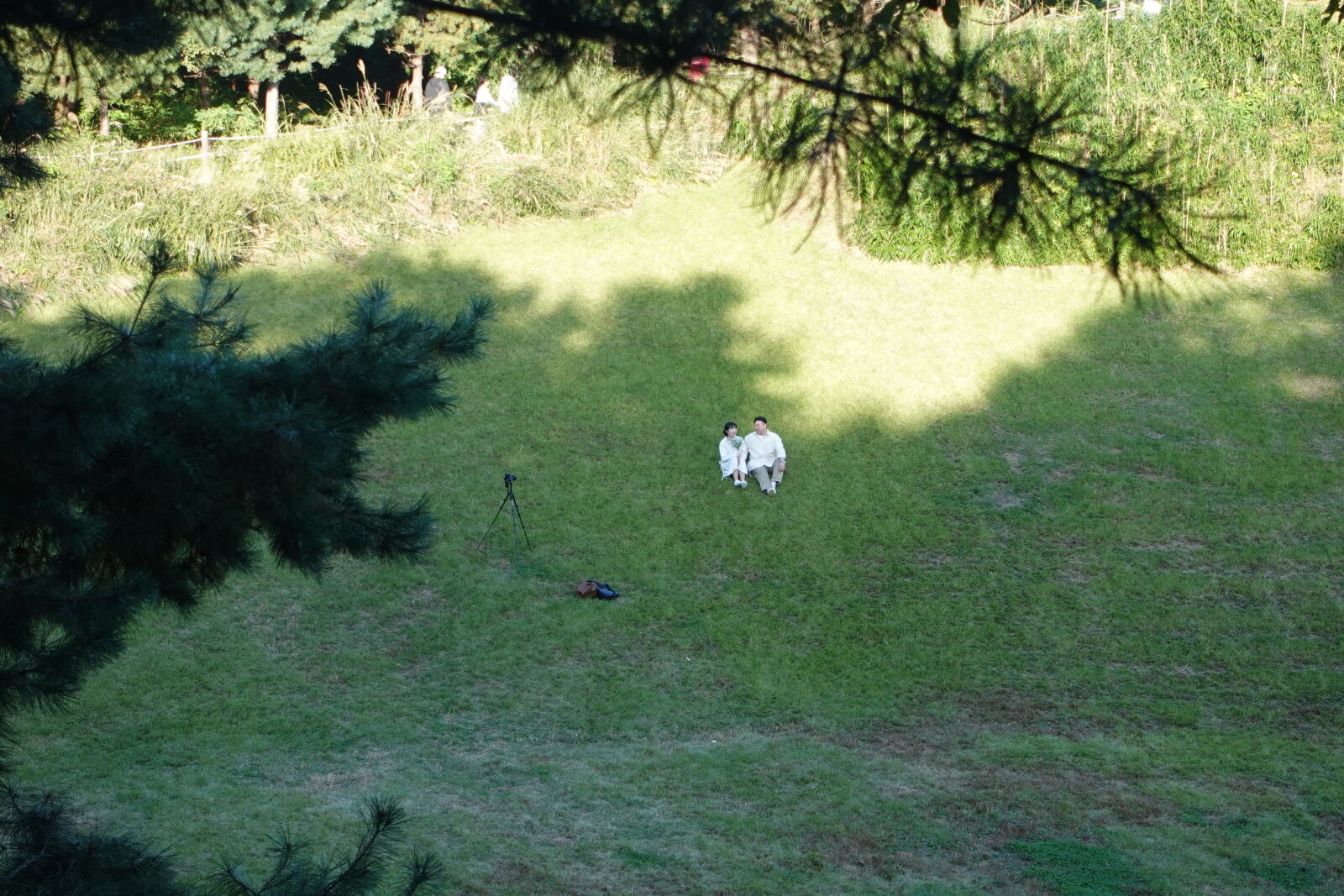 Sony ZV-1 sample photo
