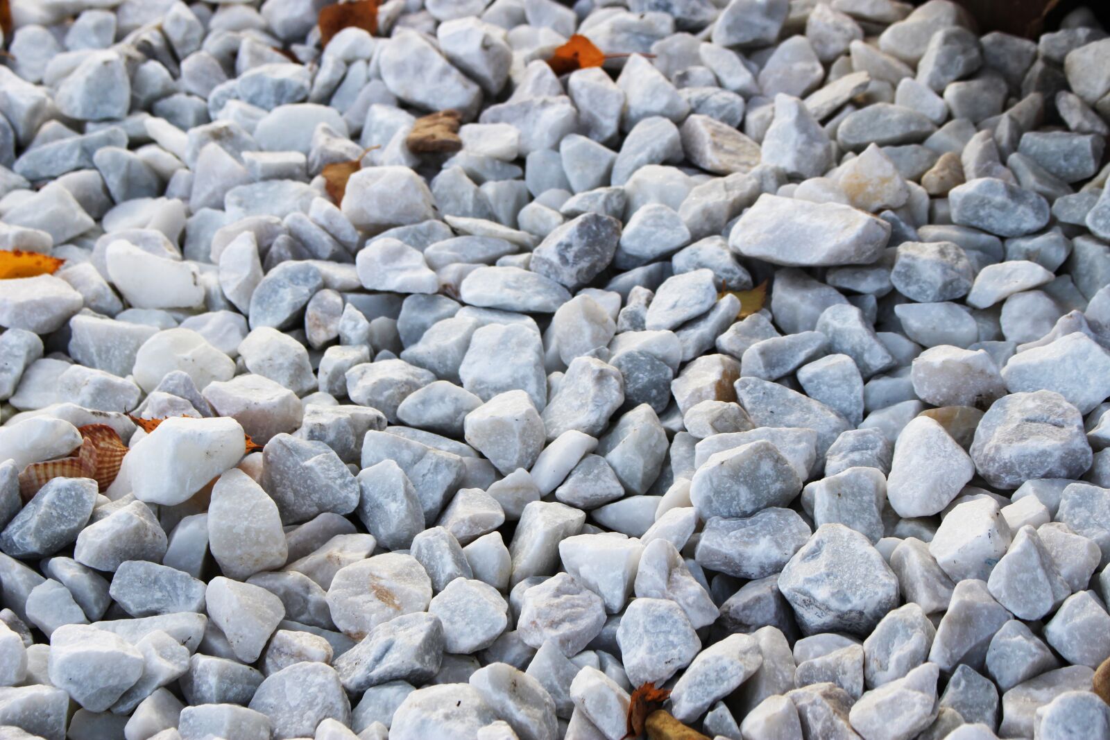 Canon EOS 100D (EOS Rebel SL1 / EOS Kiss X7) sample photo. Stones, silica, seashell photography